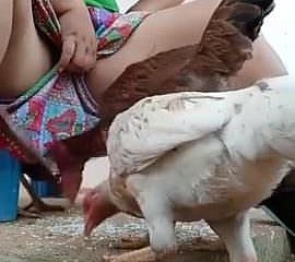 Have planned await desi bhabi feeding hen